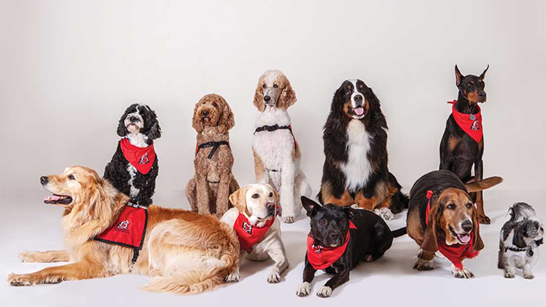 Your Therapy Team